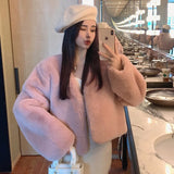 cold weather outfits Amfeov Plus Size Winter Korean Style Leather Alternative Eco-Friendly Plush Jacket High-End Thickened Cropped Overcoat For Plus Size