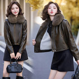 cold weather outfits Amfeov Women's Autumn Winter New Style Leather Jacket Large Collar Fleece Lined And Thickened Petite Jacket PULeather ZH1138