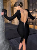 Amfeov-Sexy Backless Long Dress For Women Autumn Black Long Sleeve Back Zipper Bodycon Dresses Elegant Ladies Party Vestido