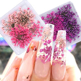 Amfeov 1Box 3D Nail Dried Flower Manicure Nail Art Decorations Natural Dry Flower Nail Art Beauty For Nails Supplies Charms Accessories