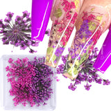 Amfeov 1Box 3D Nail Dried Flower Manicure Nail Art Decorations Natural Dry Flower Nail Art Beauty For Nails Supplies Charms Accessories