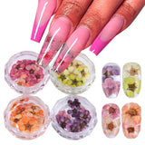 Amfeov 3D Dried Flowers Nail Art Decorations Dead Nature Nail Dry Flowers Manicure Floral Bloom Nail Art Beauty For Charms Accessories