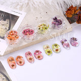 Amfeov 3D Dried Flowers Nail Art Decorations Dead Nature Nail Dry Flowers Manicure Floral Bloom Nail Art Beauty For Charms Accessories