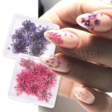 Amfeov 3D Real Dried Flowers Nail Art Decoration Lace Petal Design Natural Pressed Floral Charm Plant Jewelry Nail Accessories Supplies