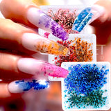 Amfeov 1Box 3D Nail Dried Flower Manicure Nail Art Decorations Natural Dry Flower Nail Art Beauty For Nails Supplies Charms Accessories