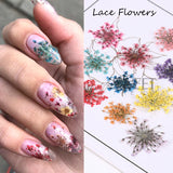 Amfeov 3D Real Dried Flowers Nail Art Decoration Lace Petal Design Natural Pressed Floral Charm Plant Jewelry Nail Accessories Supplies