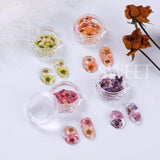 Amfeov 3D Dried Flowers Nail Art Decorations Dead Nature Nail Dry Flowers Manicure Floral Bloom Nail Art Beauty For Charms Accessories