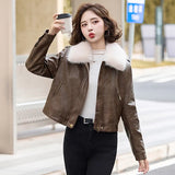 cold weather outfits Amfeov Women's Autumn Winter New Style Leather Jacket Large Collar Fleece Lined And Thickened Petite Jacket PULeather ZH1138